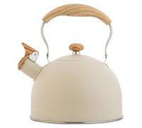 Wmmner Tetera, Tetera de Acero Inoxidable, Hervidor de Agua de Ebullición Rápida, Hervidor de Gas, Tetera de Agua de Cocina para Estufa de Inducción, Estufa de Gas para Cocina Doméstica