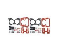 wmRTSZ Accesorios 2 Juegos de Kit de reparación de carburador 439076 compatibles con Motores fueraborda V4 y V6 de 85, 90, 115, 150, 155, 175, 185, 200 y 235 HP (434888, 383906)