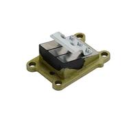 wmRTSZ Accesorios 6E0-13610-00 Conjunto de válvula de láminas for Motor fueraborda de 4 HP y 5 HP. Piezas for Motor de Barco 6E0-13610.