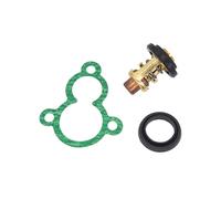 wmRTSZ Accesorios Kit de termostato 66M-12411-00 66M-12411-01 Compatible con Motores fueraborda de 4 Tiempos