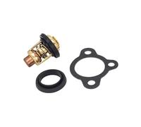 wmRTSZ Accesorios Kit de termostato 6G8-12411-00-00 66M-12411-01-00 for Motor fueraborda de 4 Tiempos