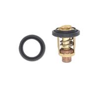 wmRTSZ Accesorios Termostato 6G8-12411-00-00 66M-12411-01-00 for Motor fueraborda de 4 Tiempos