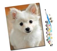 WMZPOY Paint by Numbers El pequeño elfo de Blancanieves DIY Paint by Numbers Paints to Paint by Numbers Kit with Brushes and Acrylic Paints 40x50cm