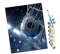 WMZPOY pintar por numeros adultos Pelota en el chapoteo del agua DIY pintar por números,pinturas para niños,paint by numbers lienzos para pintar cuadros decoracion(16" x 20")