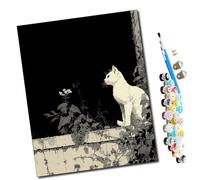 WMZPOY Pintar por números adultos Una mirada bajo el cielo nocturno DIY pintar por números, pinturas para niños, paint by numbers lienzos para pintar cuadros decoración (16" x 20")