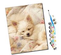 WMZPOY Pintar por numeros para Adultos Dulces sueños en la almohada animados Pintura por números Adultos y para niños-Lienzo pre Dibujado con numeros para Pintar con Pinceles 40x50cm