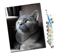 WMZPOY Pintar por Numeros para Adultos Niños Mirando a lo lejos (2) Pintura por Números con Pinceles y Pinturas Decoraciones, DIY Pinturas para el Hogar- (16 * 20 Pulgadas)