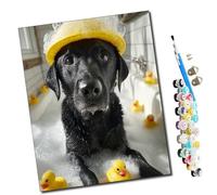 WMZPOY Pintar por numeros para Adultos Pato bañándose y perro negro Pintura por números Adultos y para niños-Lienzo pre Dibujado con numeros para Pintar con Pinceles 40x50cm