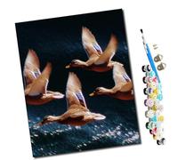 WMZPOY Pintar por numeros para Adultos Pintura artística de pato volador animados Pintura por números Adultos y para niños-Lienzo pre Dibujado con numeros para Pintar con Pinceles 40x50cm