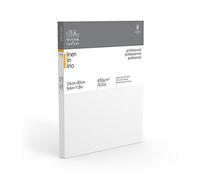 WN BASTIDOR PROFESIONAL DE LINO 24X30CM