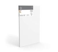 Winsor & Newton Marco Entrelazada Professional Lino 6204011-40 x 60 X 2,1CM