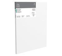 WN BASTIDOR PROFESIONAL POLIALGODÓN 50X60CM