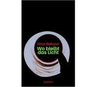 Wo bleibt das Licht: Tagebuchprosa