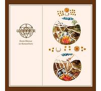 Wobbler - From Silence To Somewhere (Transp. Marble) [Vinilo]