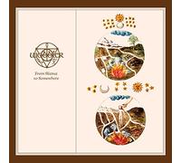 Wobbler - From Silence To Somewhere [Vinilo]