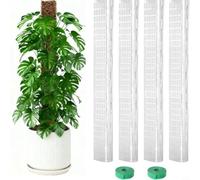 Wodsty Juego de postes de musgo de plástico transparente de 24 pulgadas en forma de D para plantas trepadoras de interior, innovador diseño de cubierta plana que promueve un crecimiento vertical