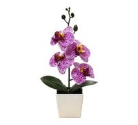 Wodsty Orquídea artificial Phalaenopsis con 4 flores pequeñas artificiales | Orquídea artificial blanca en maceta cuadrada moderna, planta artificial de 4 flores para el hogar y el escritorio