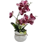 Wodsty Orquídea artificial realista Phalaenopsis blanca 30 cm | Orquídea Phalaenopsis artificial blanca en maceta de 30 cm para casa u oficina
