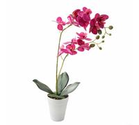 Wodsty Orquídea mariposa artificial realista en maceta, arreglo floral de seda de doble tallo de 39 cm para decoración de centros de mesa de oficina en interiores, color morado (morado)