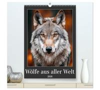 Wölfe aus aller Welt (hochwertiger Premium Wandkalender 2026 DIN A2 hoch), Kunstdruck in Hochglanz: Jeder Wolf blickt dir direkt in die Augen. Zwölf ... wilder Wolfsarten aus der ganzen Welt