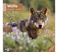 Wölfe Broschürenkalender 2026 - 30x30 - Art12 | Bildstarker Tier-Kalender im schlanken Hochformat (aufgeklappt 30x60 cm) | mit Eintrage-Kalendarium
