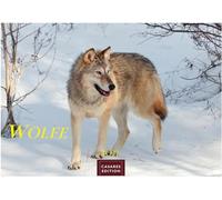 Wölfe Kalender 2027 - Wandkalender | Fotokalender Tierkalender 35x50cm Grosses Format - . mit faszinierenden Wolf-Motiven,.