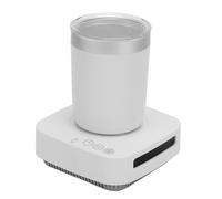 WOHPNLE Hervidor de té eléctrico, 1.2L de té de Vidrio con 4 ajustes de Temperatura Mantenga una función cálida infusor extraíble para café y té de Hoja Suelta