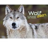 Wolf - Im Schatten des Waldes - 2027 - Kalender DIN A2: Der Wandkalender mit den schönsten Wolf-Fotografien für das Jahr 2027 im extragroßen Format DIN A2 (ca. 60 x 42 cm)!
