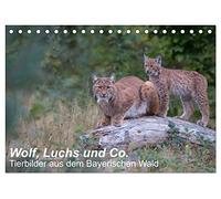 Wolf, Luchs und Co. - Tierbilder aus dem Bayerischen Wald (Tischkalender 2026 DIN A5 quer), CALVENDO Monatskalender: Tierbilder, aufgenommen in den Tierfreigehegen im Nationalpark Bayerischer Wald