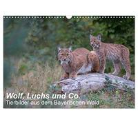 Wolf, Luchs und Co. - Tierbilder aus dem Bayerischen Wald (Wandkalender 2026 DIN A3 quer), CALVENDO Monatskalender: Tierbilder, aufgenommen in den Tierfreigehegen im Nationalpark Bayerischer Wald