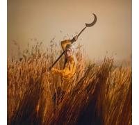 Patrick Wolf – Crying the Neck – CD – Importación USA