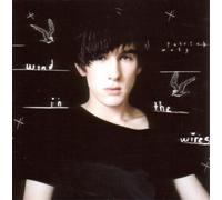Wolf,Patrick - Wind in the Wires [Vinilo]