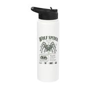 Wolf Spider Lycosidae Arachnid Natural History Stainless Steel Insulated Water Bottle
