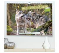 Wolf - wild und schön (hochwertiger Premium Wandkalender 2026 DIN A2 quer), Kunstdruck in Hochglanz: Wild frei und schön, die Faszination Wolf ist ... zeigt das Tier in all seinen Facetten