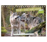 Wolf - wild und schön (Tischkalender 2026 DIN A5 quer), CALVENDO Monatskalender: Wild frei und schön, die Faszination Wolf ist ungebrochen, dieser Kalender zeigt das Tier in all seinen Facetten