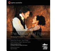 Wolfgang Amadeus Wolfgang Amadeus Mozart: The Marriage of (CD) (Importación USA)