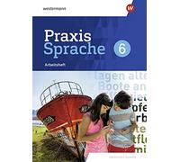Wolfgang Menzel Praxis Sprache - Differenzierende Ausgabe 2020 für S (Broschüre)