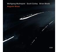Wolfgang Muthspiel Angular Blues (CD) Album (Jewel Case) (Importación USA)