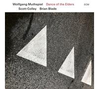 Wolfgang Muthspiel, Scott Colley y Brian Blade – Dance of the Elders – CD – Importación USA