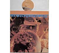 WOLFGANG PRESS - MAMA TOLD ME NOT TO COME - 12" VINYL