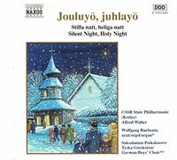 Wolfgang Ruebsam-Organ - Jouluyรถ juhlayรถ (CD)