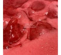 Wolfgang Tillmans – Can't Escape Into Space (Honey Dijon's Euphoria Mix) – Vinilo