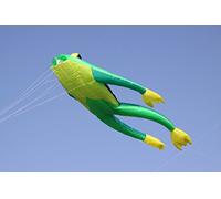 Wolkenstürmer Fritz The Frog Cerf-Volant Simple Ligne Sans perches Cometa línea, Color Verde, 210 x 140 cm (WSFFRO)