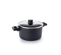 Woll Diamond Logic XR - Olla con tapa de cristal en caja - Inductiva - Diámetro 24 cm, 14 cm de alto, 4,5 litros, con 2 asas laterales - Adecuado para todo tipo de fuegos, aluminio fundido y sellado