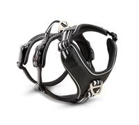 Wolters Vajilla Active Pro No Escape, tamaño: 60-75 cm, color: negro/plata