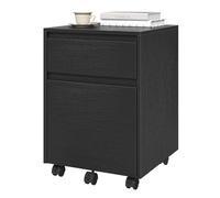 WOLTU Archivador con 2 Cajones y Barra Colgante, Cajonera Escritorio con Ruedas, Mueble Oficina de Almacenamiento, Armario Archivador para Carpetas y Archivos A4, Negro, 40x40x56 cm