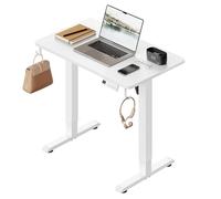 WOLTU Escritorio Elevable Eléctrico Regulable Altura 72-118 cm, con Memoria y Protección Anticolisión, con 2 Ganchos, para Oficina, Gaming o Estudio, Blanco, 80x48 cm