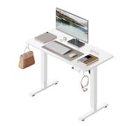 WOLTU Escritorio Elevable Eléctrico Regulable Altura 72-118 cm, con Memoria y Protección Anticolisión, con 2 Ganchos, para Oficina, Gaming o Estudio, Blanco, 100x48 cm