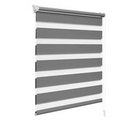 WOLTU Estor Enrollable de Doble Capa Noche y Día sin Taladrar, Fijación con Pinza, Estor Translúcido y Oscurecido para Puertas y Ventanas Persiana con Cadena, 100 x 130 cm, Gris Oscuro