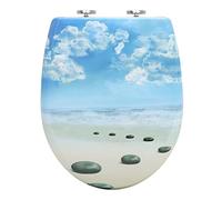 WOLTU Tapa de WC Tapa de Inodoro Asiento de Inodoro Bisagra de Cierre Suave Instalar Rápida